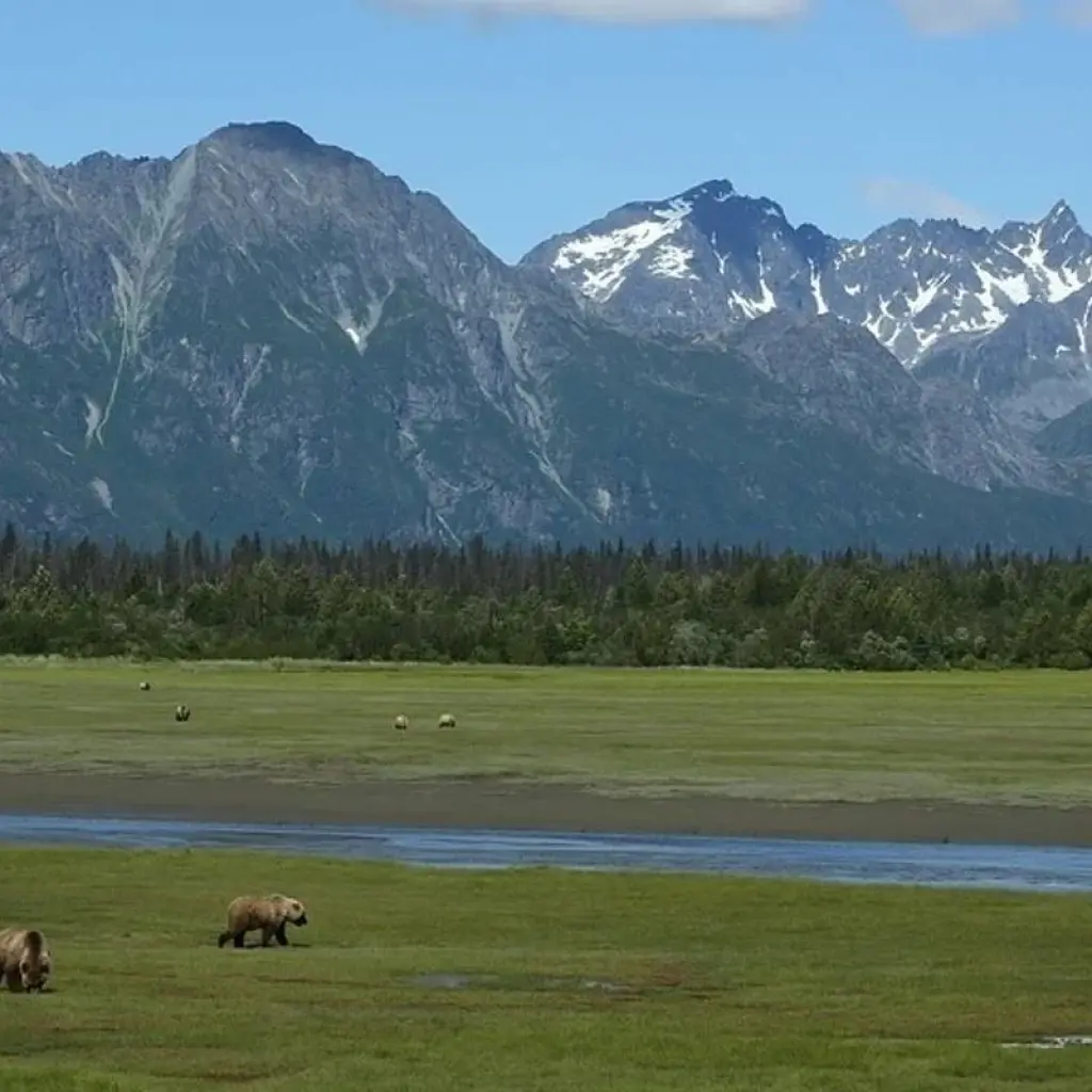 Explore Alaska: Ocean Wildlife to Interior Wilderness Adventure - 9 Days for 9 days with BrushBuck Wildlife Tours and discover unforgettable experiences - Photo 2
