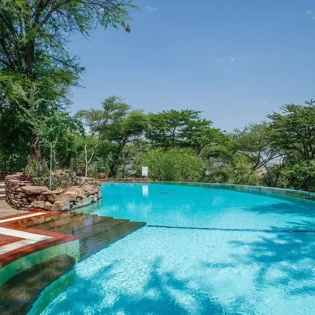 Explore Kenya & Tanzania Great Migration 7-Day Safari for 7 days with BrushBuck Wildlife Tours and discover unforgettable experiences - Photo 2