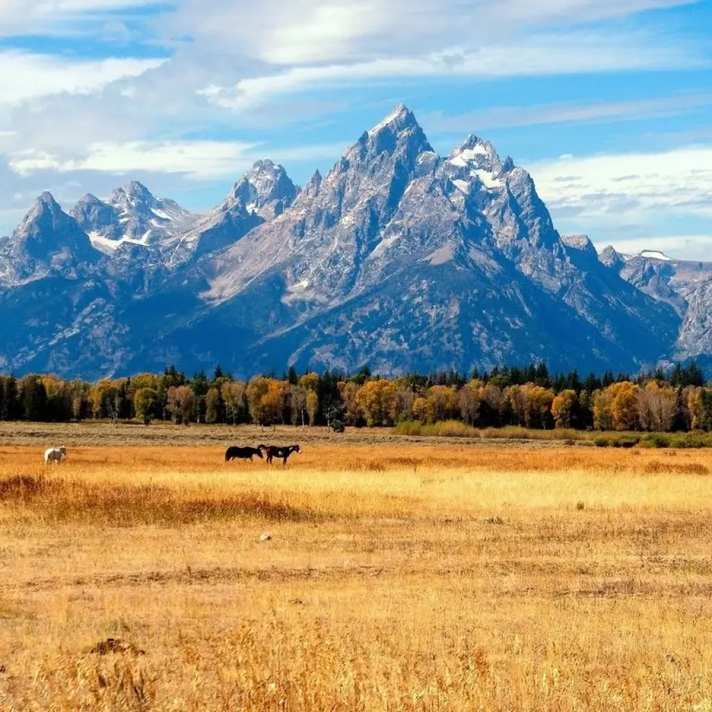 Explore USA – 6 Days Yellowstone Grand Tetons Adventure for 6 days with Bucket List Group Travel LLC and discover unforgettable experiences - Photo 2