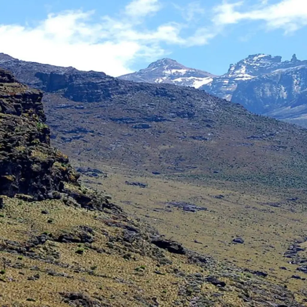 Explore 4 days Mount Kenya Trek using Sirimon and Naromoru Routes 2025/2026 for 4 days with CKC Tours & Travel and discover unforgettable experiences - Photo 2