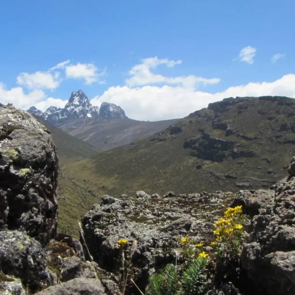 Explore 6 days Mount Kenya Trek with Samburu Game Reserve Wildlife Safari 2025 for 6 days with CKC Tours & Travel and discover unforgettable experiences - Photo 2