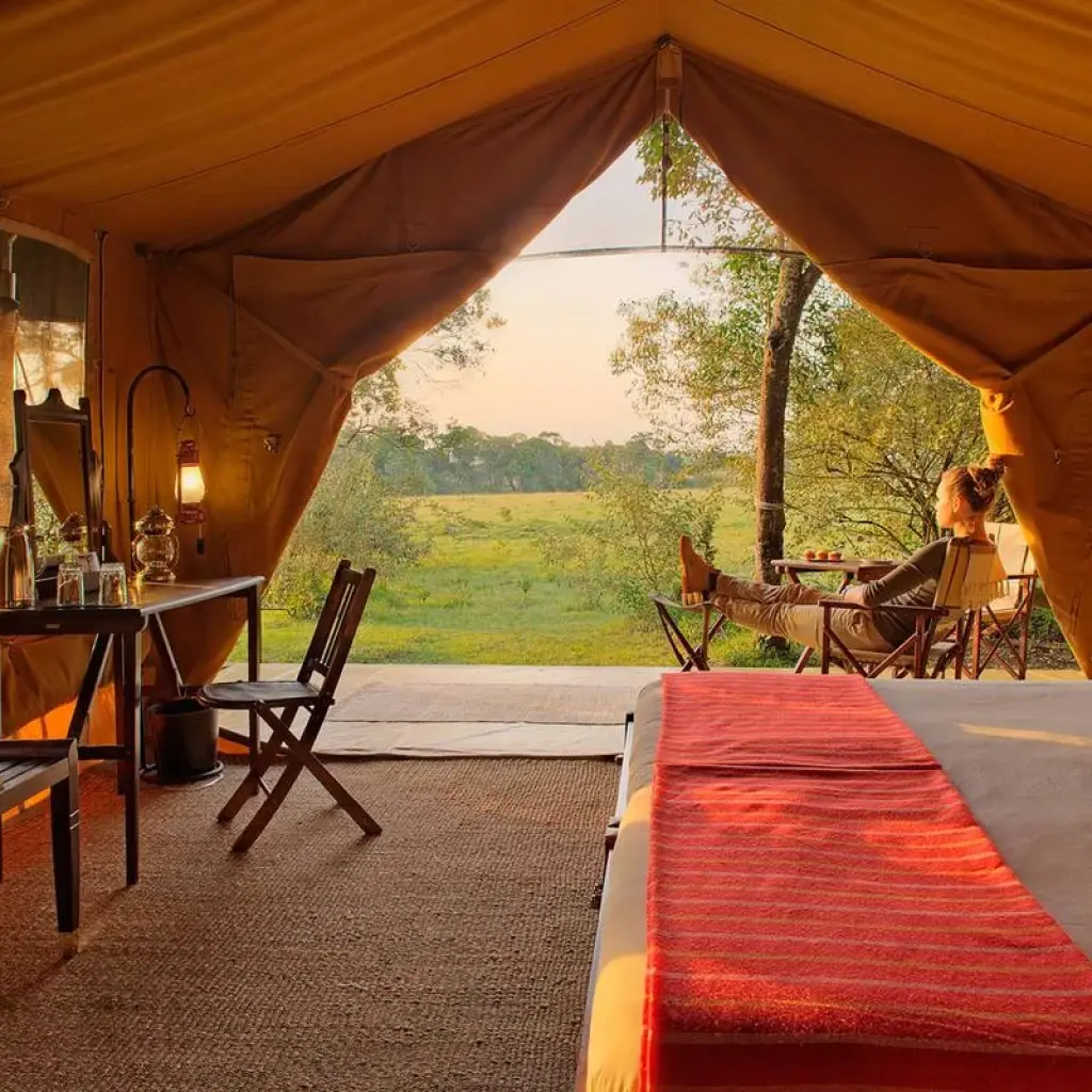 Explore 7 days Kenya High End Flying Safari 2025 for 7 days with CKC Tours & Travel and discover unforgettable experiences - Photo 2