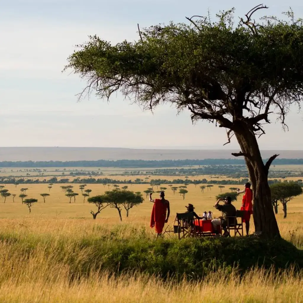 Explore 8 days Kenya Luxury Flying Safari Holiday for 8 days with CKC Tours & Travel and discover unforgettable experiences - Photo 2