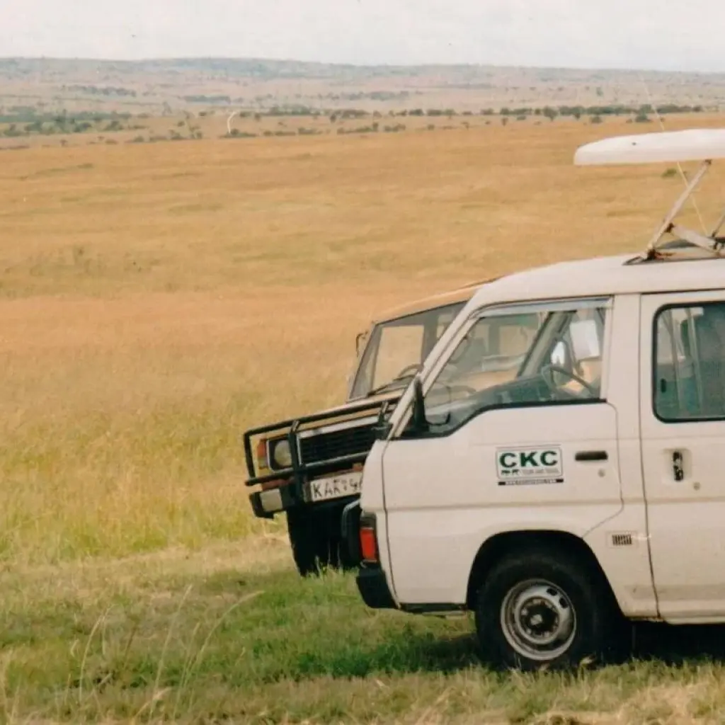Explore 4 Days Kenya Masai Mara and Lake Nakuru mid range Lodge joining safari 2025 for 4 days with CKC Tours & Travel and discover unforgettable experiences - Photo 2