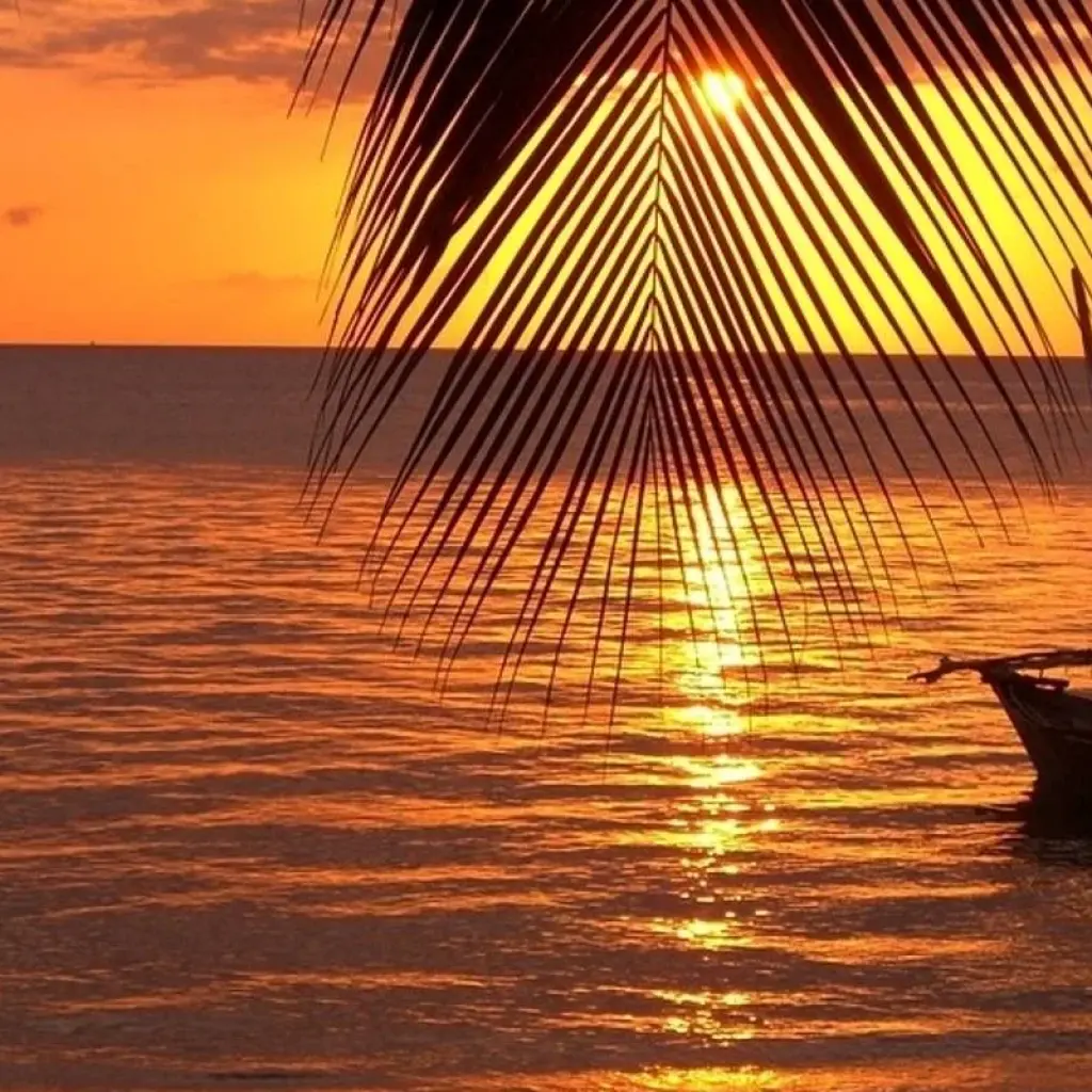 Explore 15 Days Kenya Tanzania Mid Range Safari & Zanzibar Beach holiday 2025 for 15 days with CKC Tours & Travel and discover unforgettable experiences - Photo 2