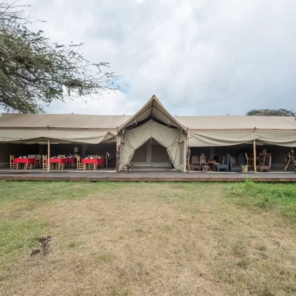 Explore 7 Days Kenya and Tanzania private  medium range driving safari for 7 days with CKC Tours & Travel and discover unforgettable experiences - Photo 2