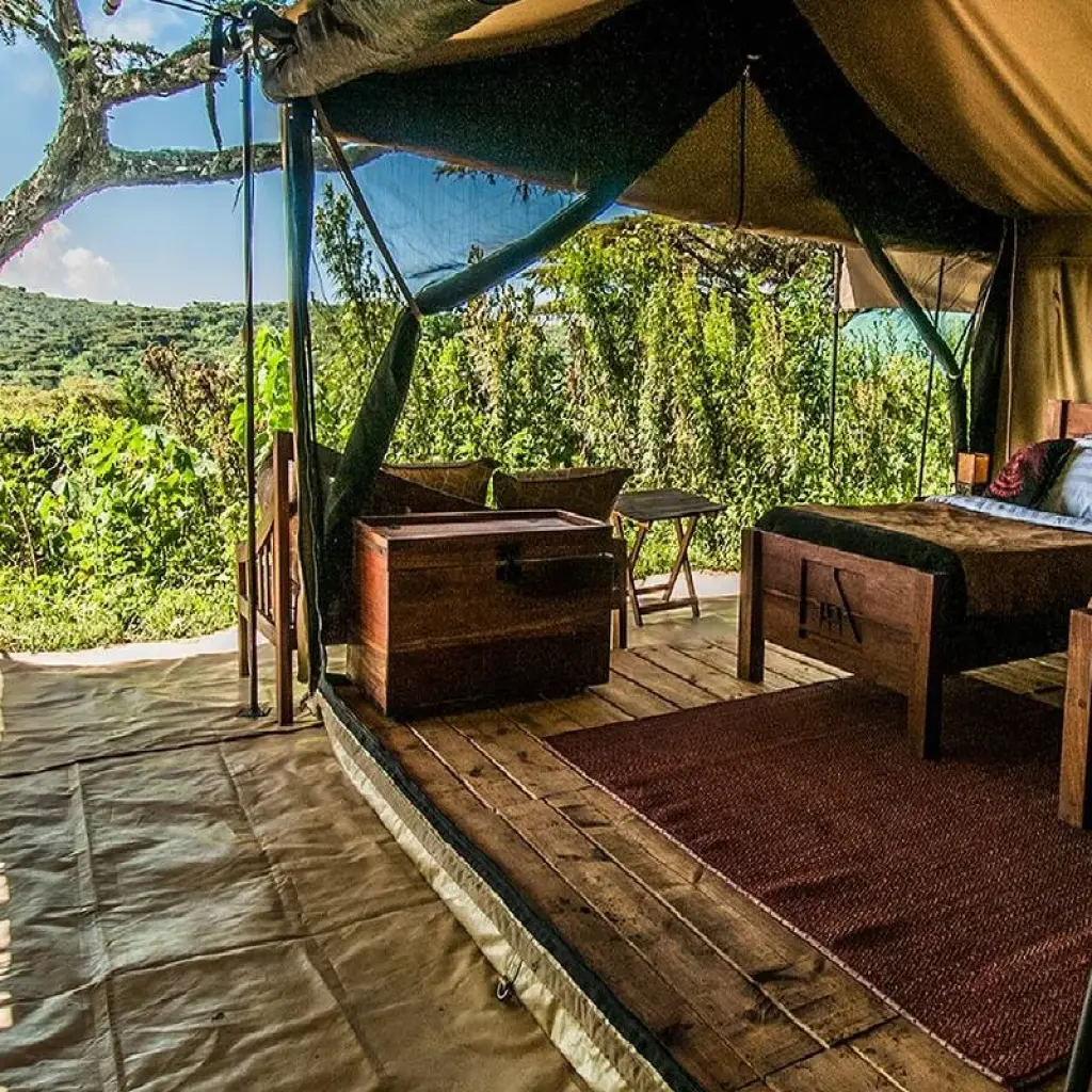 Explore 6 Days Tanzania luxury range Driving Safari 2025/2026 for 6 days with CKC Tours & Travel and discover unforgettable experiences - Photo 2
