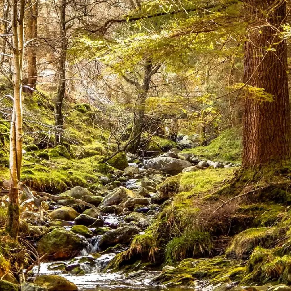 Explore Mystical Ireland - 8 Days/7 Nights for 8 days with CIE Tours and discover unforgettable experiences - Photo 2