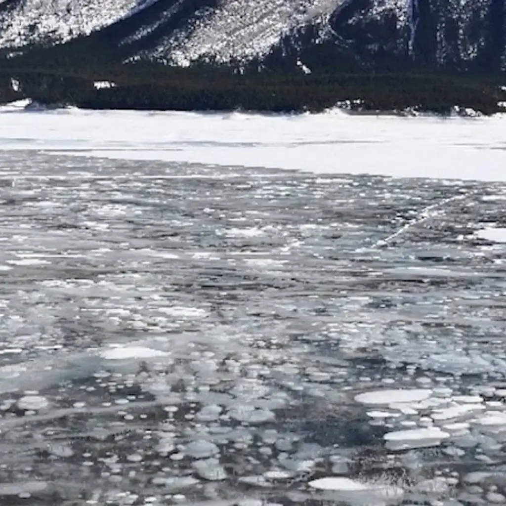 Explore Rockies Winter Fun 4-Day Tour for 4 days with Calgary Tours and discover unforgettable experiences - Photo 5