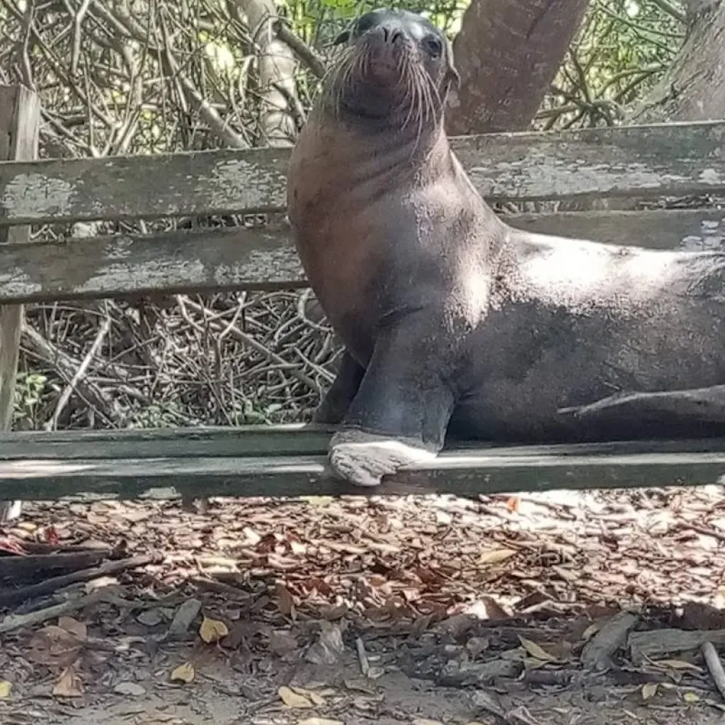 Explore 6-Day Treasures of Galapagos Private Tour for 6 days with Cami Adventures and discover unforgettable experiences - Photo 2