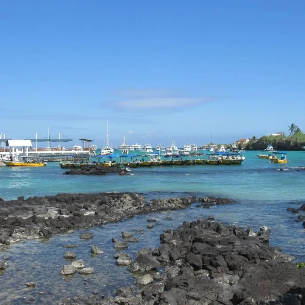 Explore Magical Galapagos (5 Days) for 5 days with Cami Adventures and discover unforgettable experiences - Photo 2