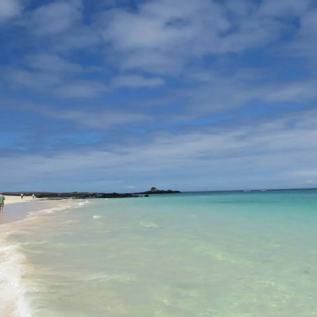 Explore Galapagos an enchanted Archipielago (8 days) for 8 days with Cami Adventures and discover unforgettable experiences - Photo 2