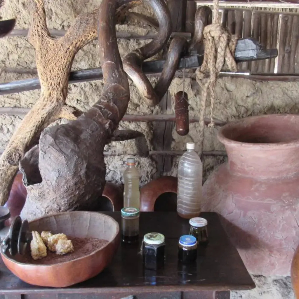 Explore Explore Quito and Galapagos (8 Days) for 8 days with Cami Adventures and discover unforgettable experiences - Photo 2