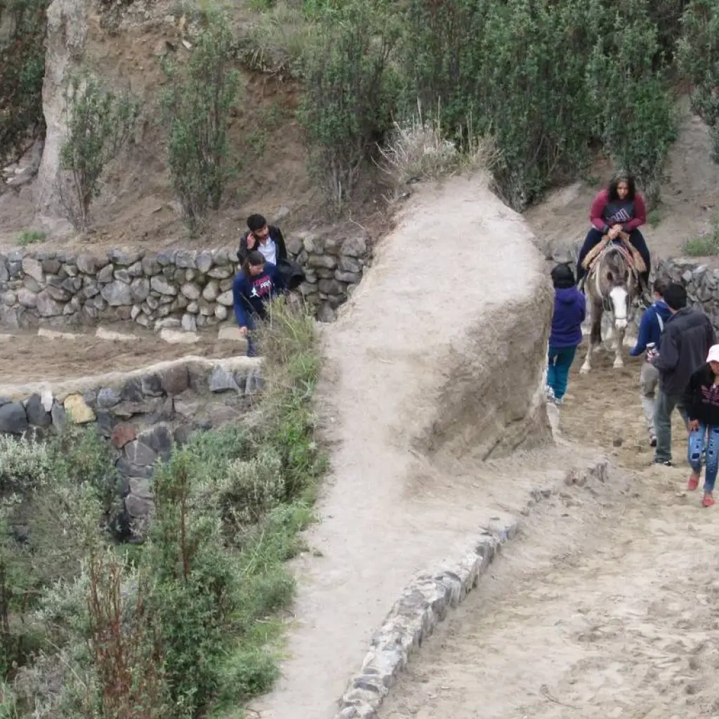 Explore PRIVATE CULTURAL & WALKING HOLIDAY IN QUITO (4 days) for 4 days with Cami Adventures and discover unforgettable experiences - Photo 2