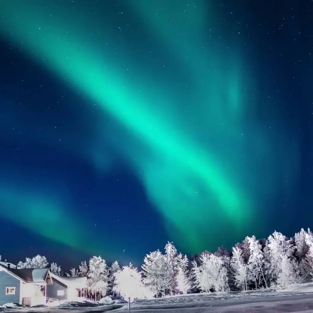 Explore Lapland Winter Adventure for 6 days with Carisa Travel Group and discover unforgettable experiences - Photo 2
