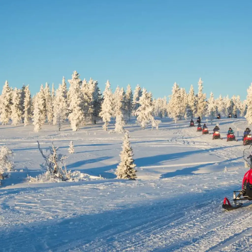Explore Helsinki to Kirkenes - Beyond the Arctic Circle for 9 days with Carisa Travel Group and discover unforgettable experiences - Photo 2