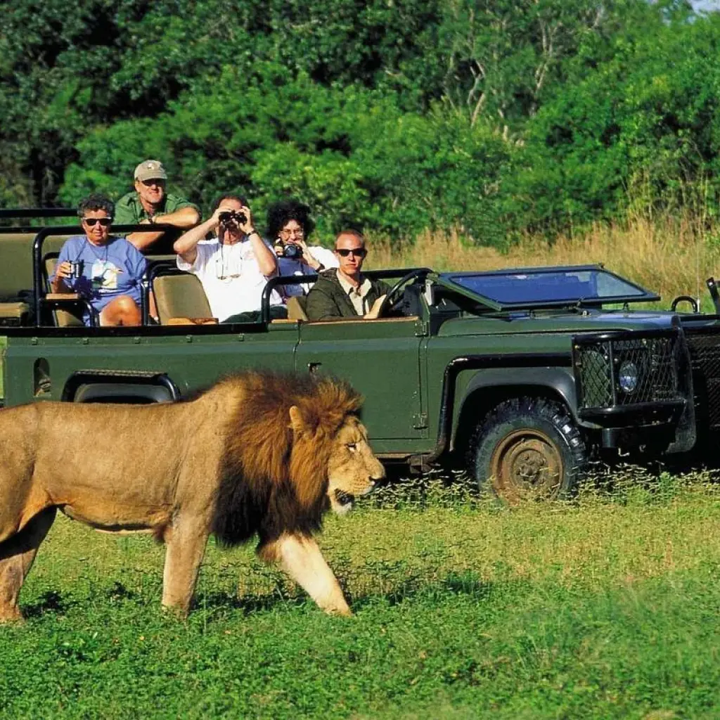 Explore 11 Days Cape Town, Garden Route & Kruger Package for 11 days with Cape Xtreme and discover unforgettable experiences - Photo 2