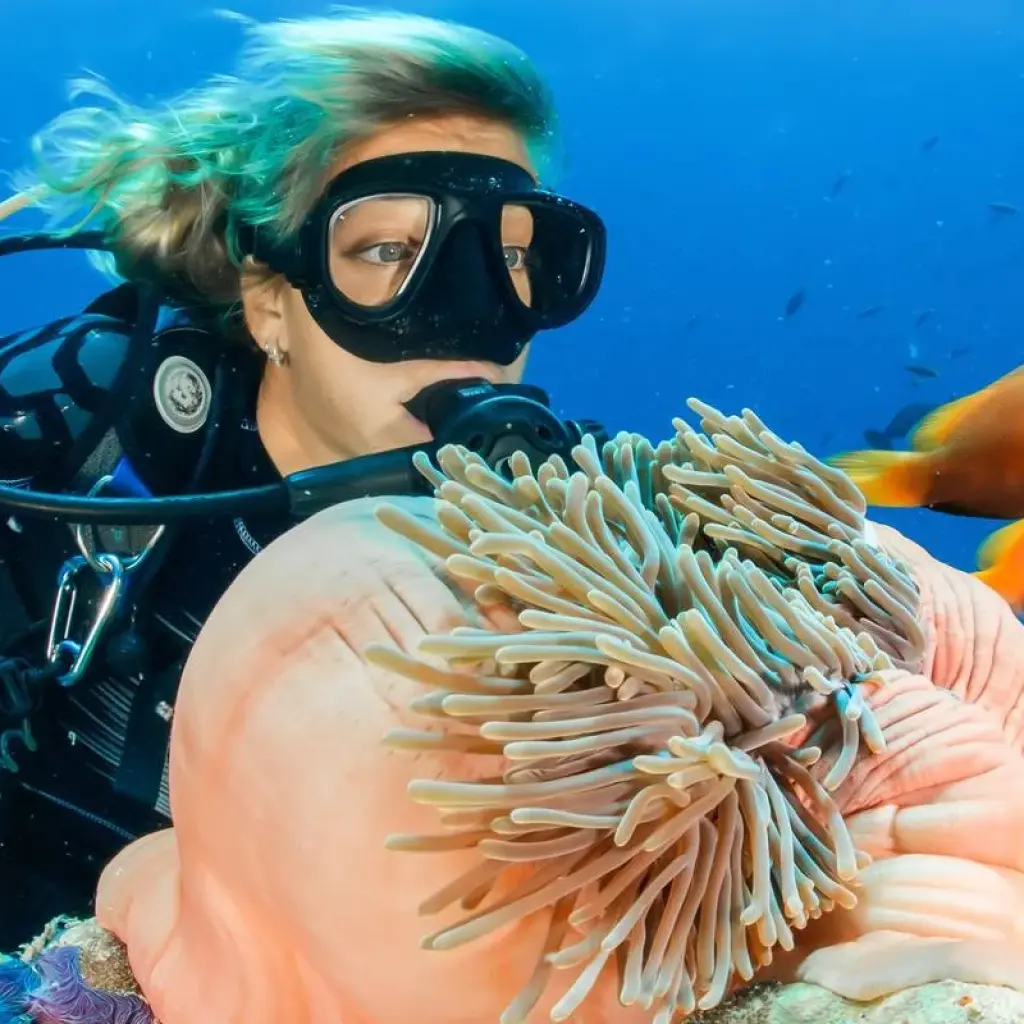 Explore Splendors Of Maldives for 5 days with Capital Lanka Tours and discover unforgettable experiences - Photo 2
