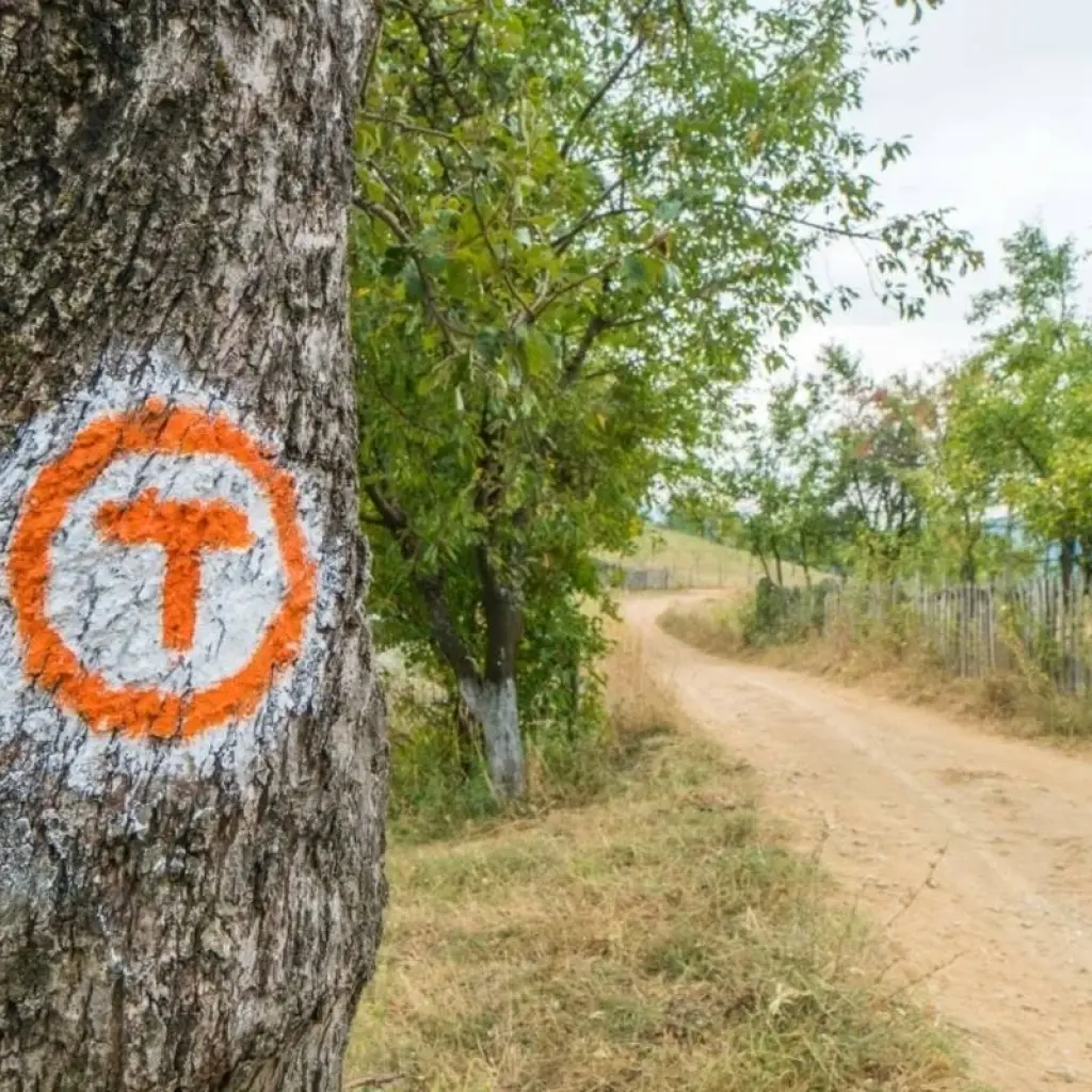 Explore Hiking on the Via Transilvanica in TERRA SAXONUM for 8 days with Carpathian Travel Center and discover unforgettable experiences - Photo 2