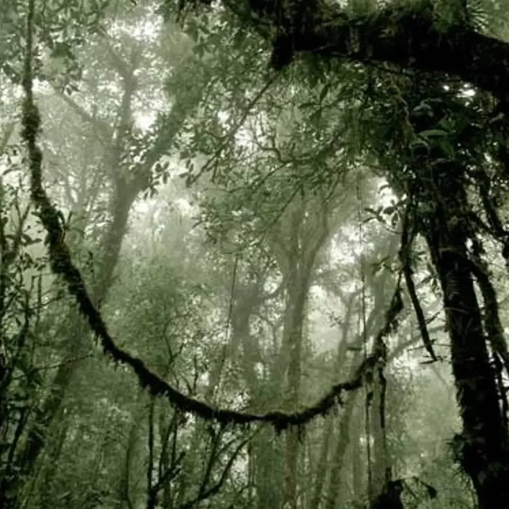 Explore Costa Rica Eco Essential for 9 days with Central American Tours and discover unforgettable experiences - Photo 2
