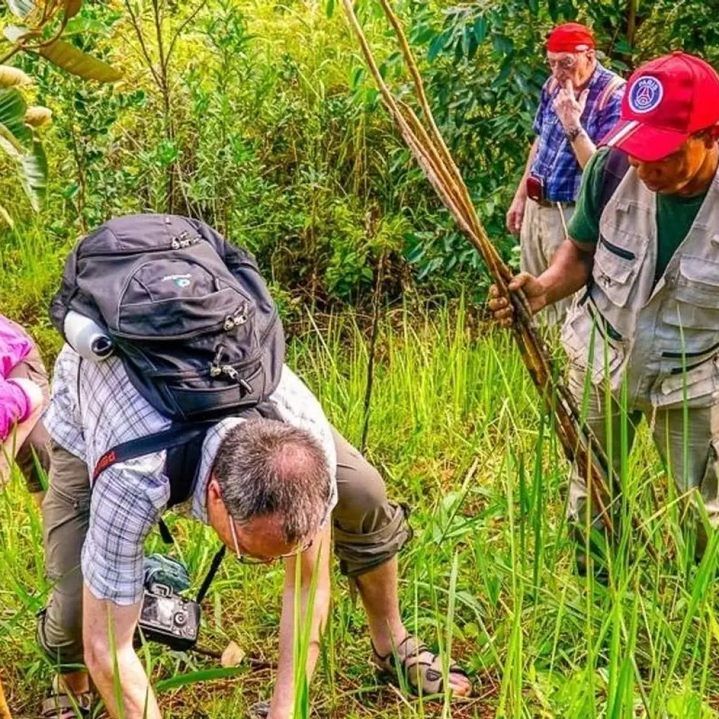 Explore Isalo Adventure for 17 days with Chamaeleon and discover unforgettable experiences - Photo 2