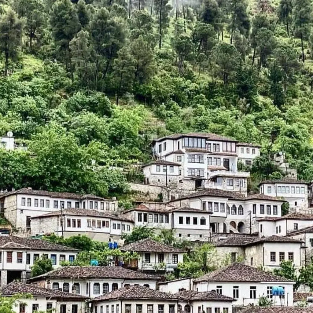 Explore From Tirana: Small Group Day Trip to Berat & Belsh Lake for 1 days with Choose Balkans and discover unforgettable experiences - Photo 2