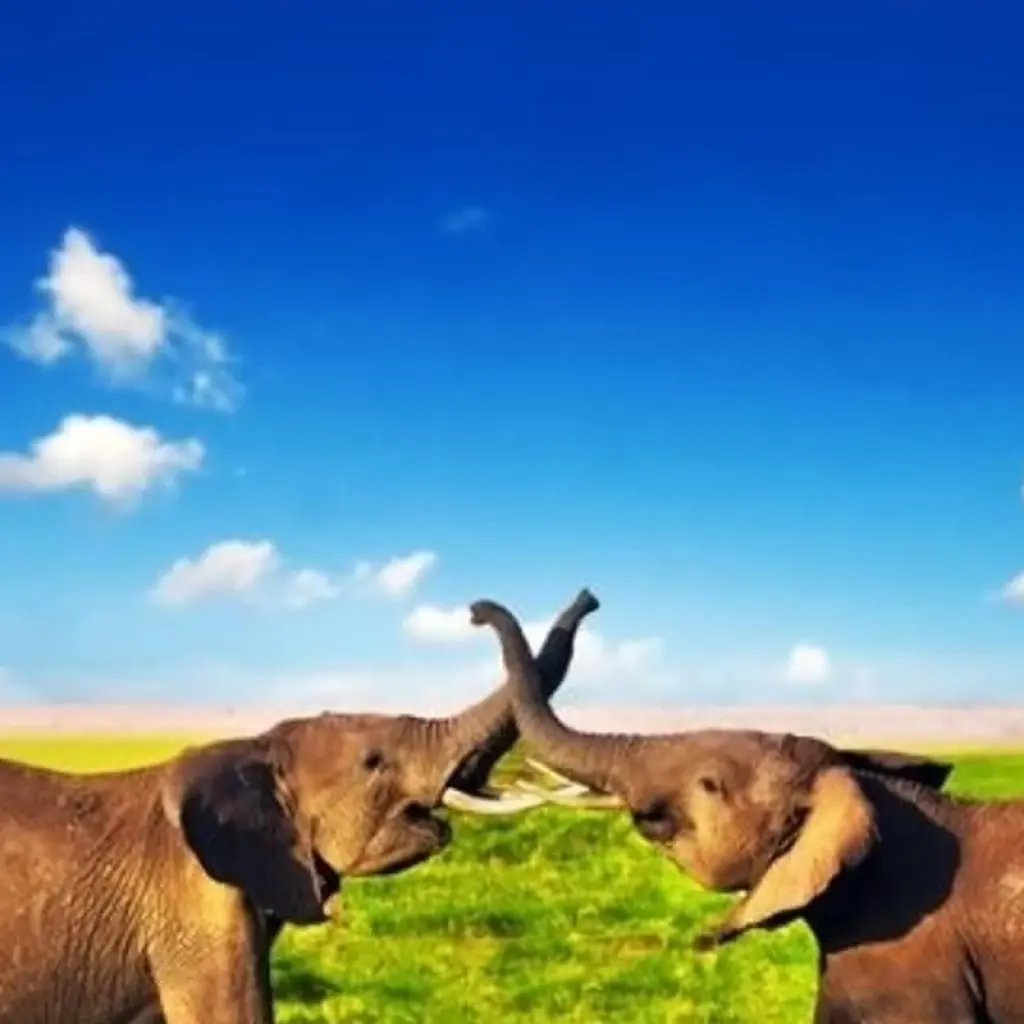 Explore Affordable Classic Highlights of Kenya and Beach 2025 for 11 days with Classic Journeys Africa Ltd and discover unforgettable experiences - Photo 2