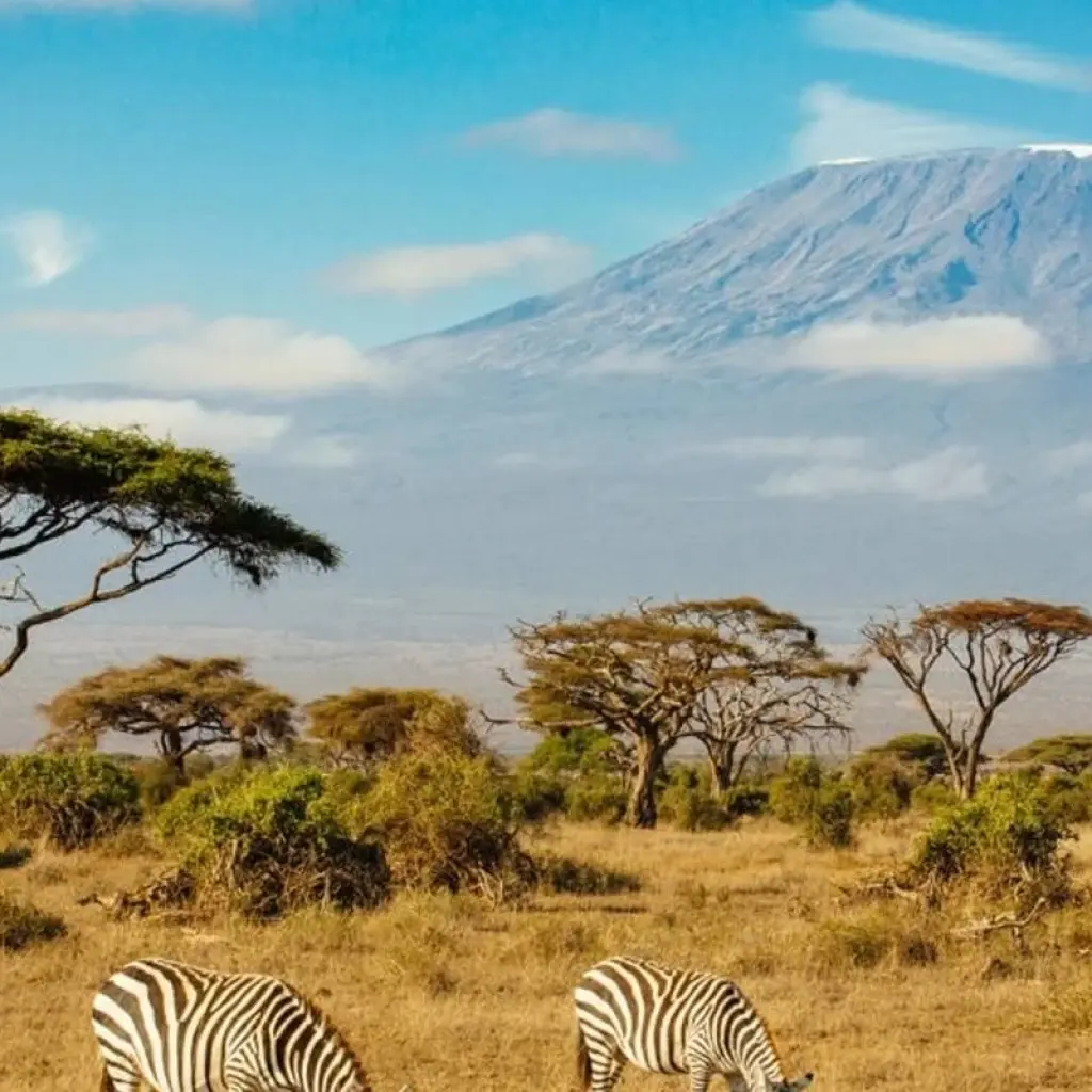 Explore 6 Days Affordable Classic Kenya Private Safari Amboseli, Naivasha & Mara for 6 days with Classic Journeys Africa Ltd and discover unforgettable experiences - Photo 2