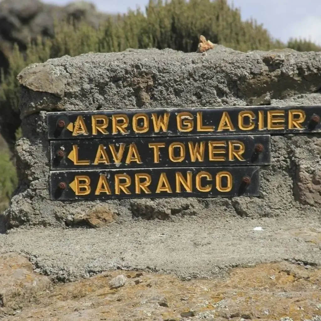 Explore Kilimanjaro climb new year summit for 6 days with Click Expeditions and discover unforgettable experiences - Photo 2