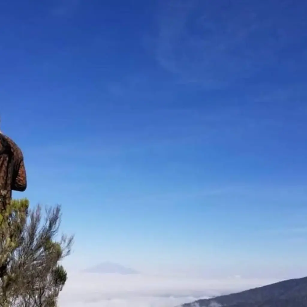 Explore 7 Days Kilimanjaro Climb Marangu Route for 7 days with Click Expeditions and discover unforgettable experiences - Photo 2