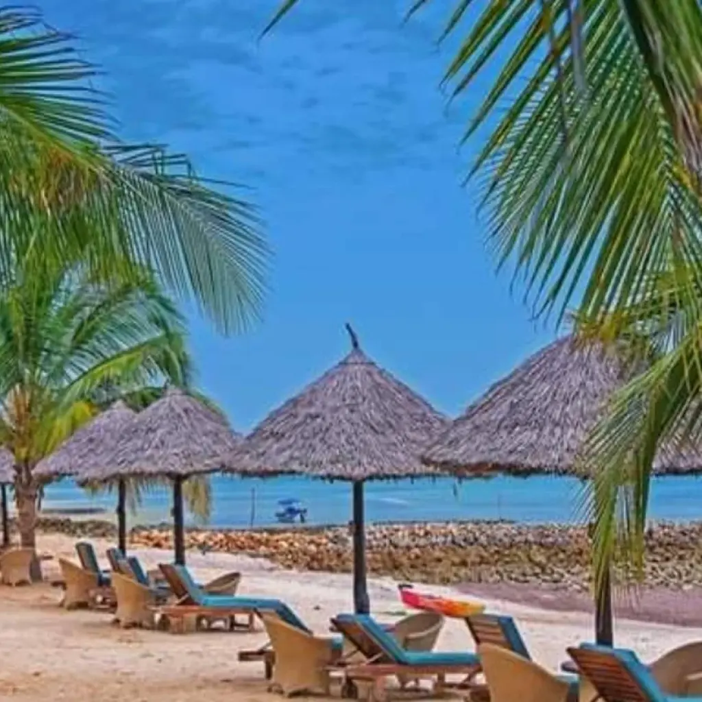 Explore Pemba Island - Beach Holidays for 6 days with Click Expeditions and discover unforgettable experiences - Photo 2