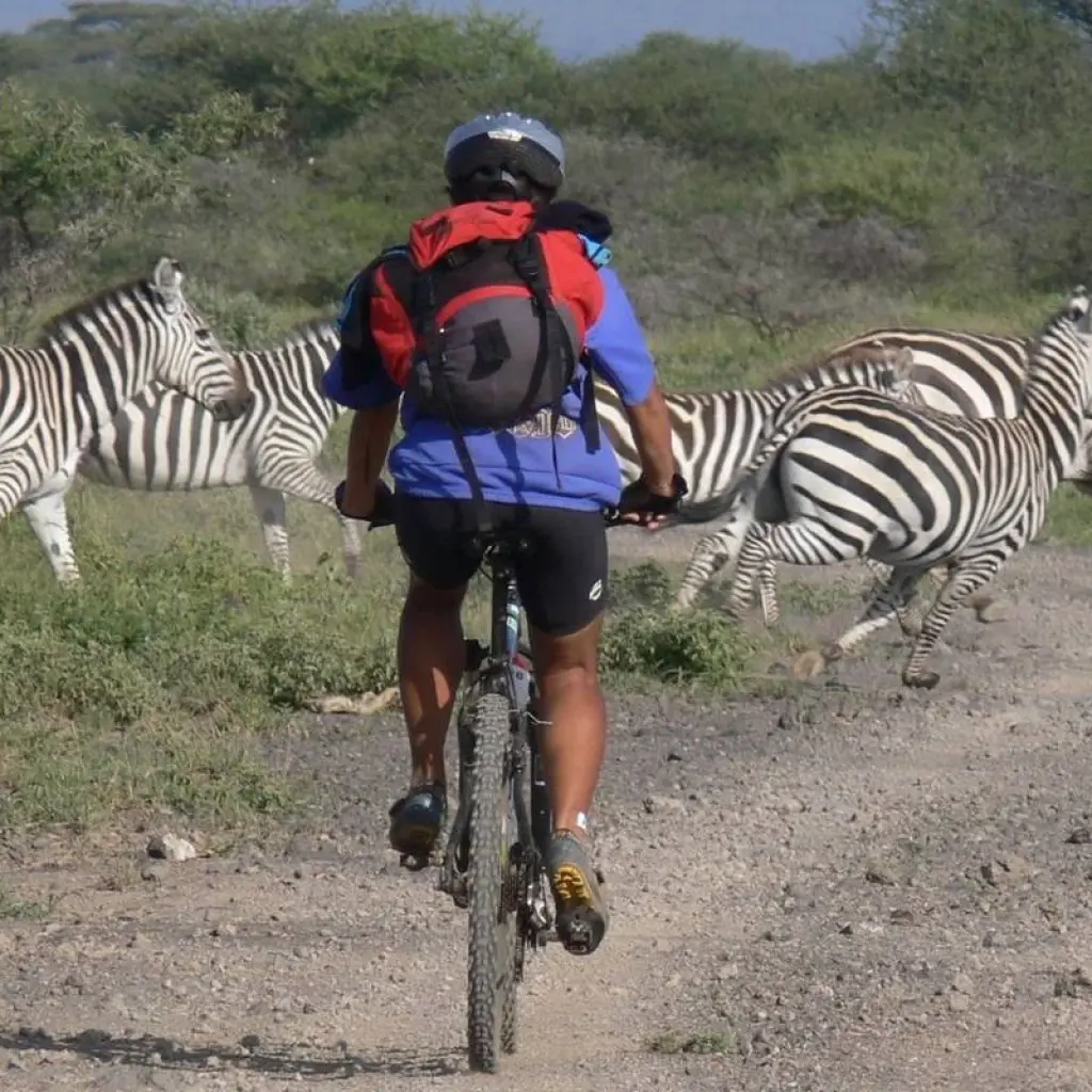Explore Mountain Biking Mount Kilimanjaro 8 days (all Accommodation & Transport are included) for 8 days with Click Expeditions and discover unforgettable experiences - Photo 2