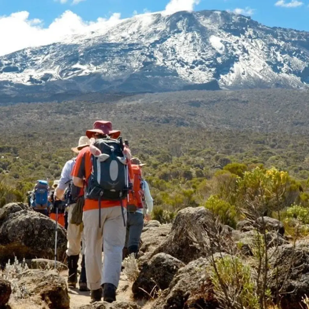 Explore 8 days Mount kilimanjaro climbing through marangu route.(all Accommodation & Transport are included) for 8 days with Click Expeditions and discover unforgettable experiences - Photo 2