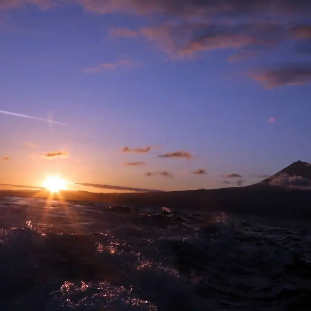 Explore Whales & Dolphins for 8 days with Colibri Travel and discover unforgettable experiences - Photo 2