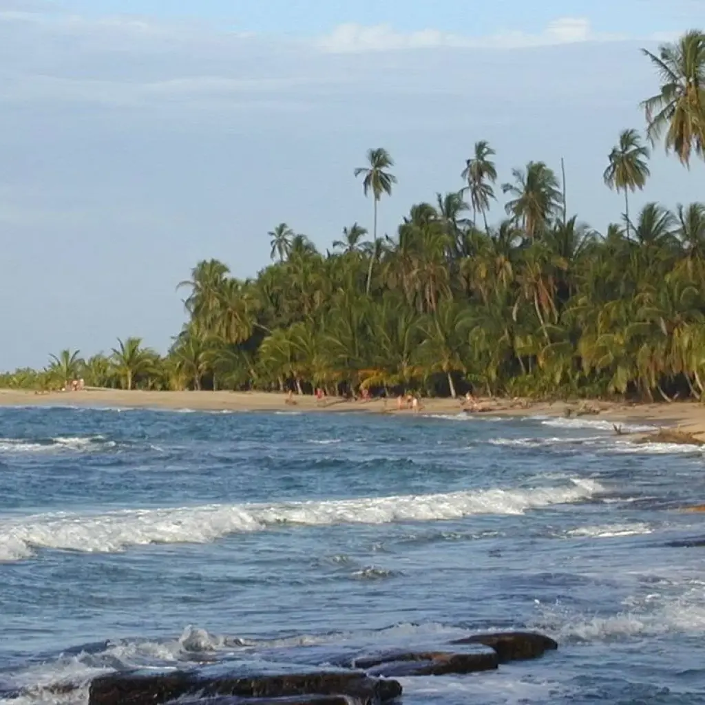 Explore Costa Rica for Nature Explorers for 15 days with Colibri Travel and discover unforgettable experiences - Photo 2
