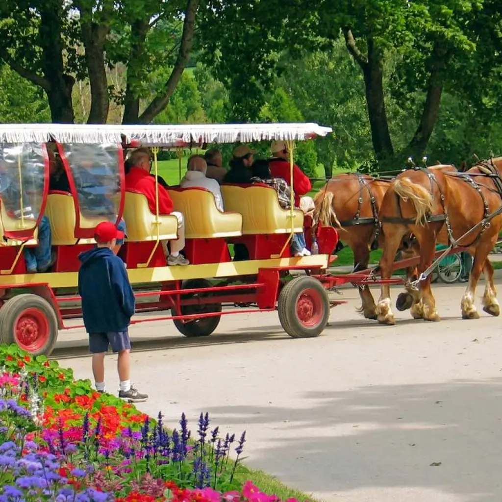Explore Mackinac Island  (Chicago, IL to Southfield, MI) (2025) for 9 days with Collette and discover unforgettable experiences - Photo 2