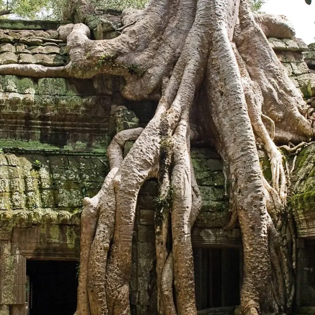 Explore Highlights Of Vietnam & Cambodia Tour 10 Days - Private Tour for 10 days with Conical Travel and discover unforgettable experiences - Photo 2