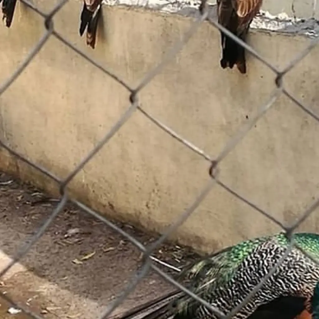 Explore Cultural & Historical Tour of Ivory Coast, 8 Days for 8 days with Continent Tours and discover unforgettable experiences - Photo 2