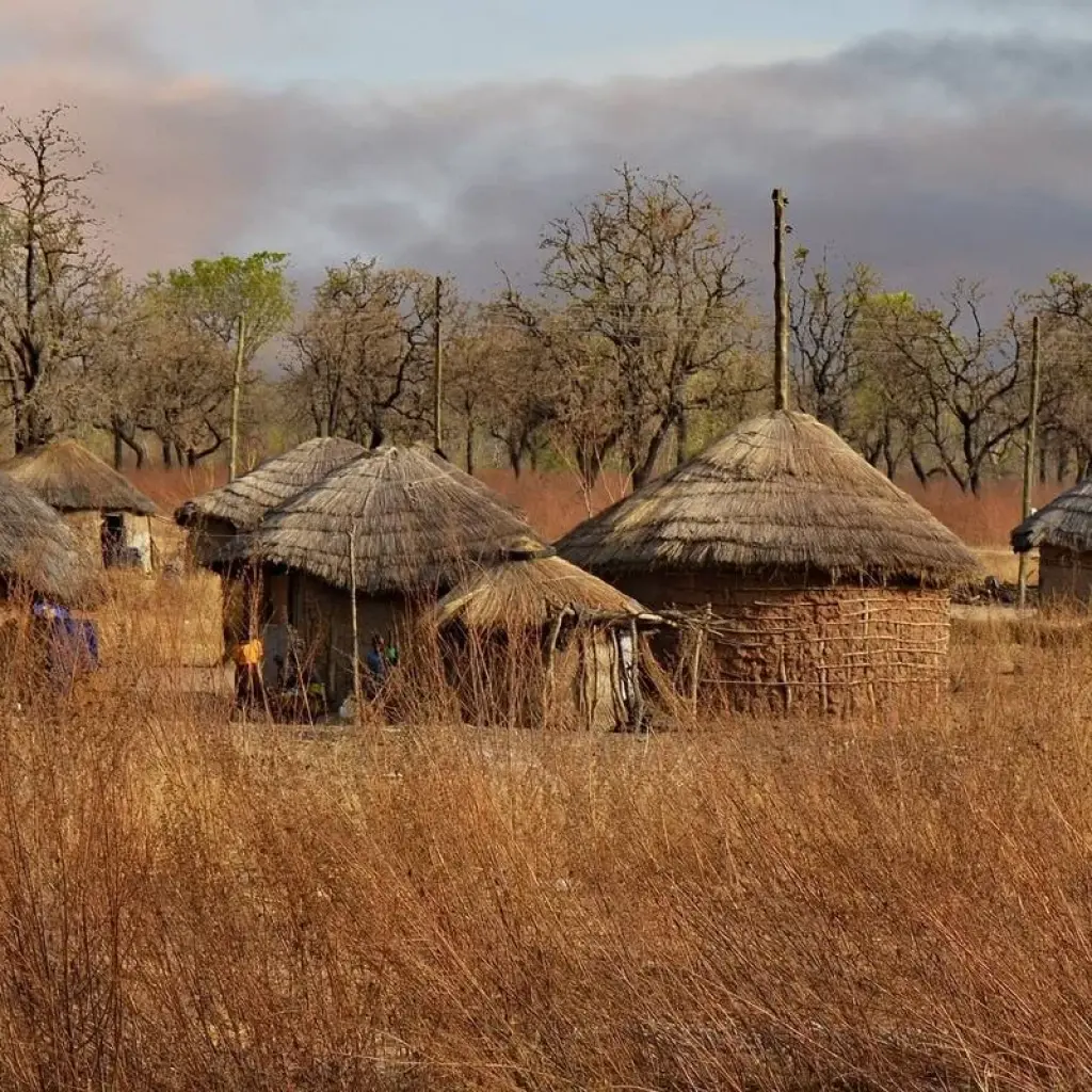 Explore Ghana: Beach, History & Nature, 6 Days for 6 days with Continent Tours and discover unforgettable experiences - Photo 2
