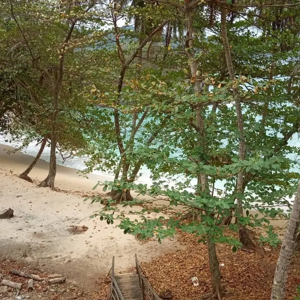 Explore Experience São Tomé & Príncipe – 8 Days for 8 days with Continent Tours and discover unforgettable experiences - Photo 2