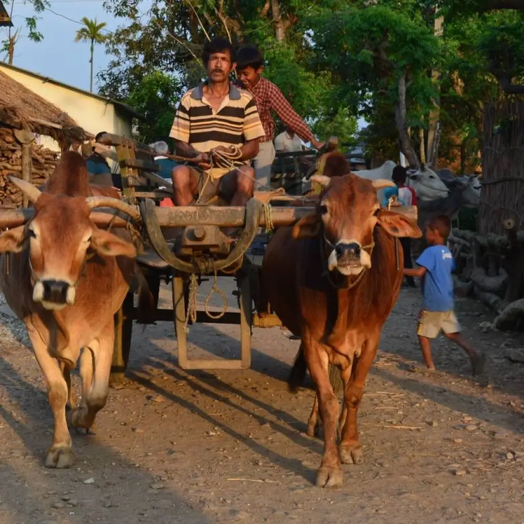 Explore UNESCO World Heritage Site Tour for 10 days with Corporate Adventure Treks Pvt. Ltd. and discover unforgettable experiences - Photo 2