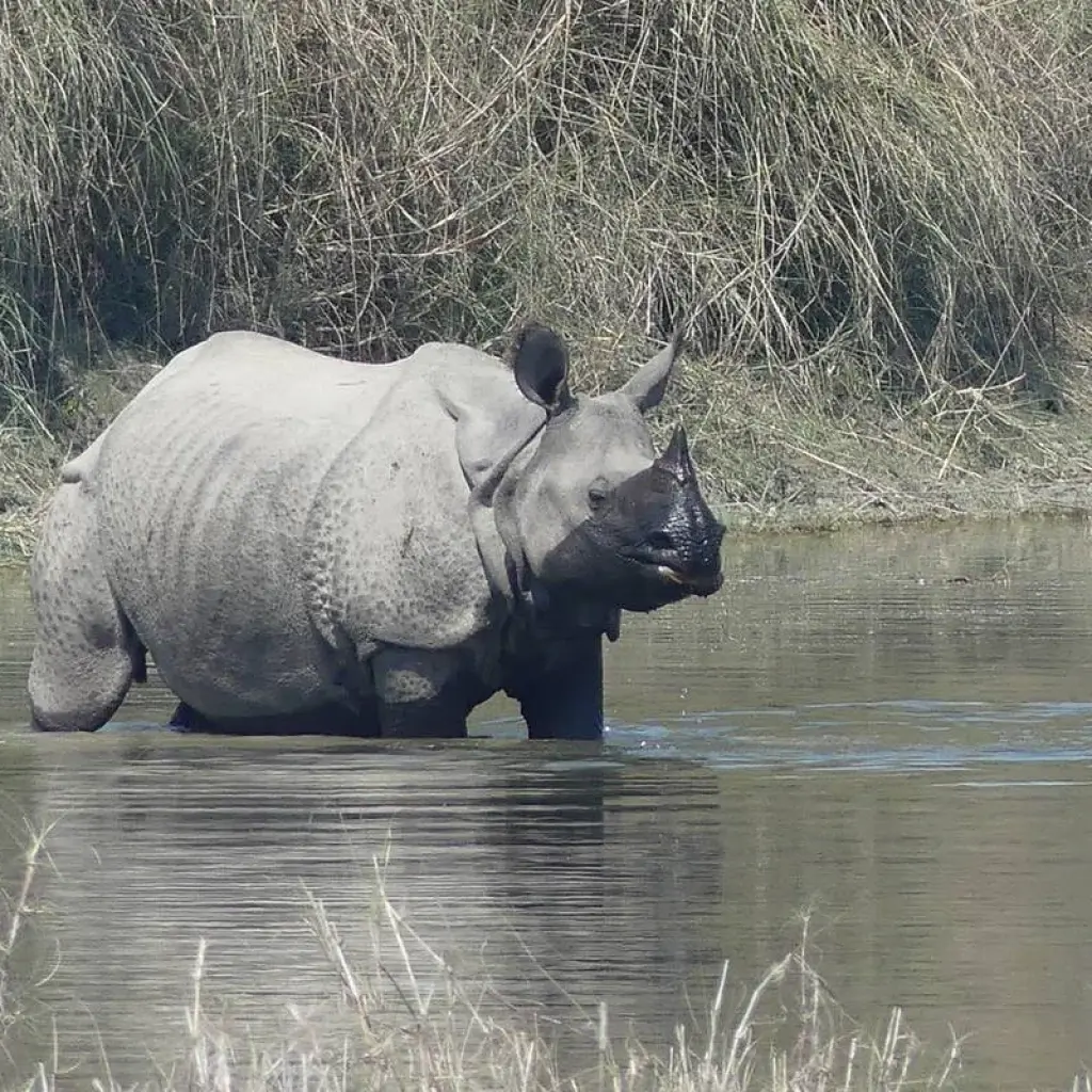 Explore Nepal Soft Adventure Tour for 9 days with Corporate Adventure Treks Pvt. Ltd. and discover unforgettable experiences - Photo 2