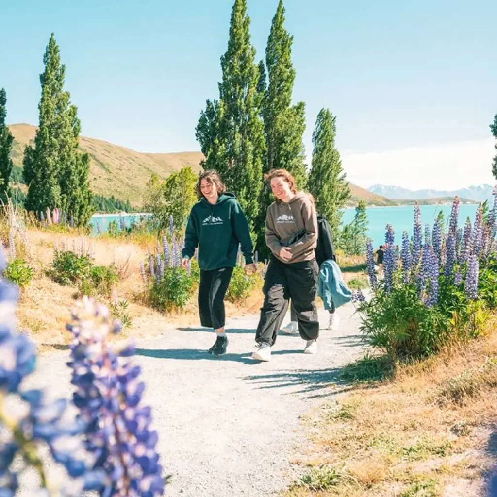 Explore New Zealand: Sweet As South (Westbound) for 9 days with Contiki and discover unforgettable experiences - Photo 2