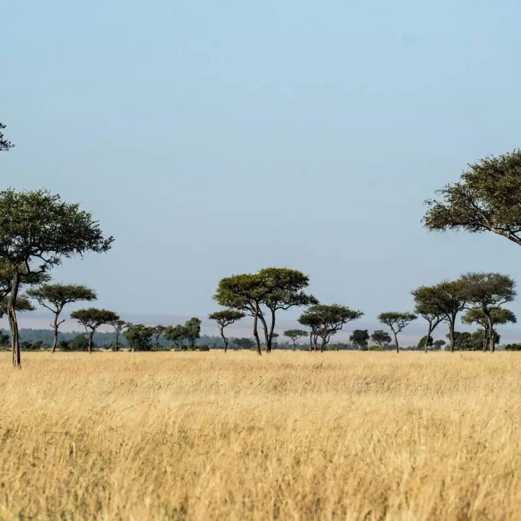 Explore On Safari in Kenya with Nairobi for 11 days with Cosmos and discover unforgettable experiences - Photo 2