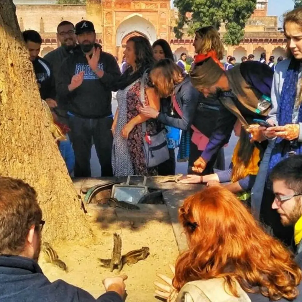 Explore Taj Mahal & Tigers - Golden Triangle India Tour with Ranthambore 7 Days for 7 days with Creative India Journey and discover unforgettable experiences - Photo 4