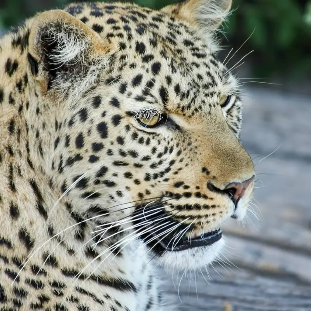 Explore Raw Namibia for 12 days with Crooked Compass and discover unforgettable experiences - Photo 2