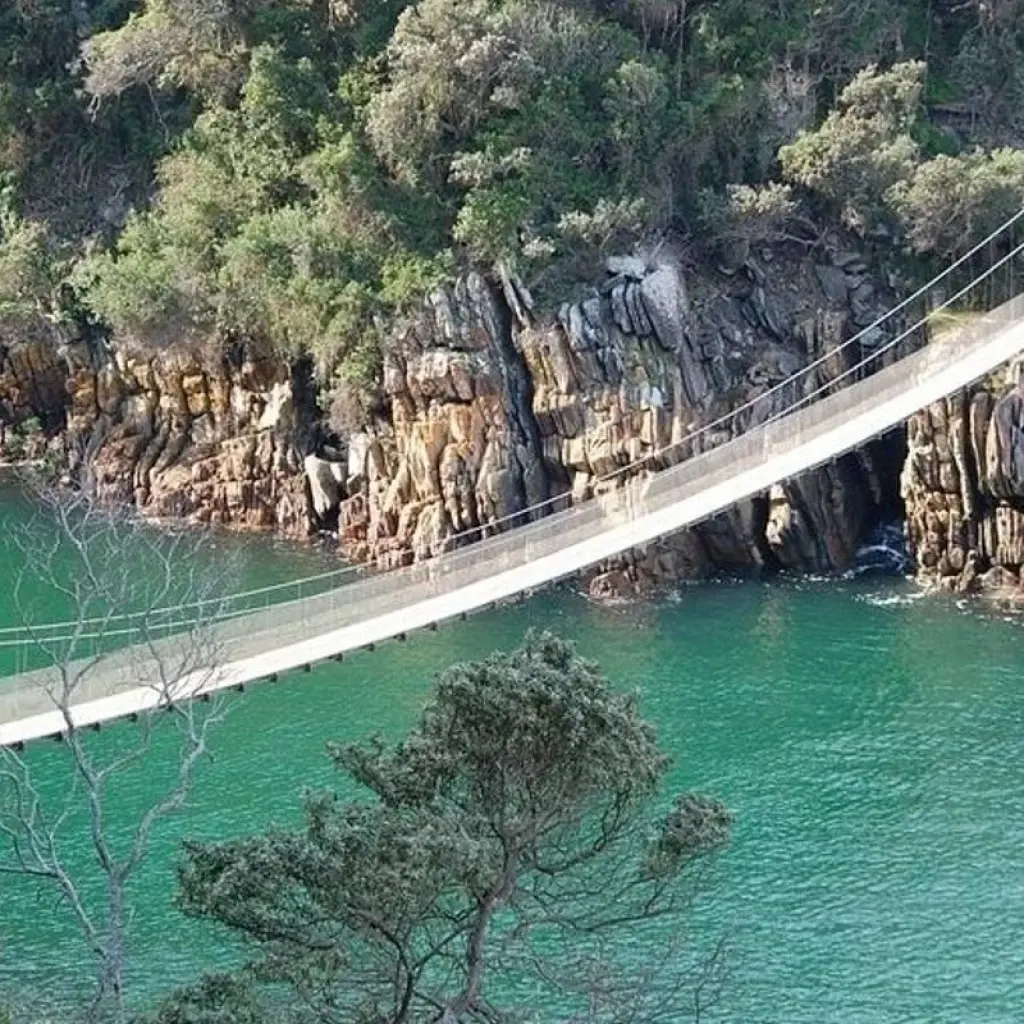 Explore Garden Route Splendour for 6 days with Cullinan Guided Journeys and discover unforgettable experiences - Photo 2