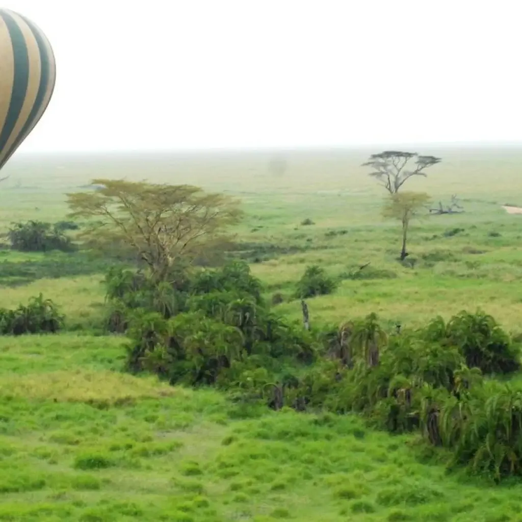 Explore Wild Kingdoms Safari (from Johannesburg to Durban) for 7 days with Cullinan Guided Journeys and discover unforgettable experiences - Photo 2