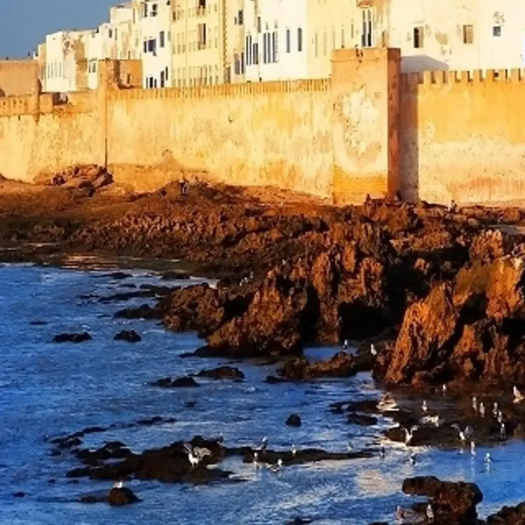 Explore 15-Day Morocco "Private" ​tour from Casablanca - Highlights of Morocco for 15 days with Cultural Morocco Tours and discover unforgettable experiences - Photo 2