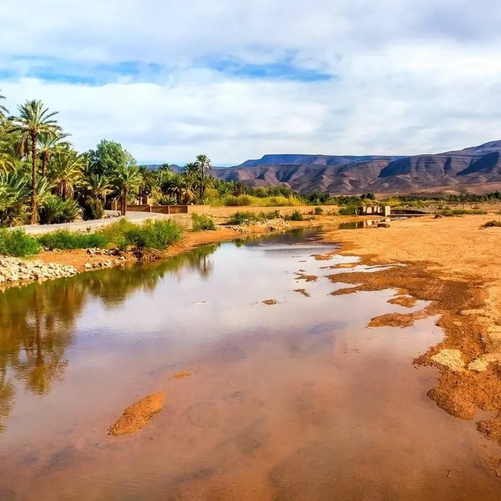 Explore Private 5 days  from Casablanca to Marrakech Visiting Chefchaouen, Fes & desert for 5 days with Cultural Morocco Tours and discover unforgettable experiences - Photo 2